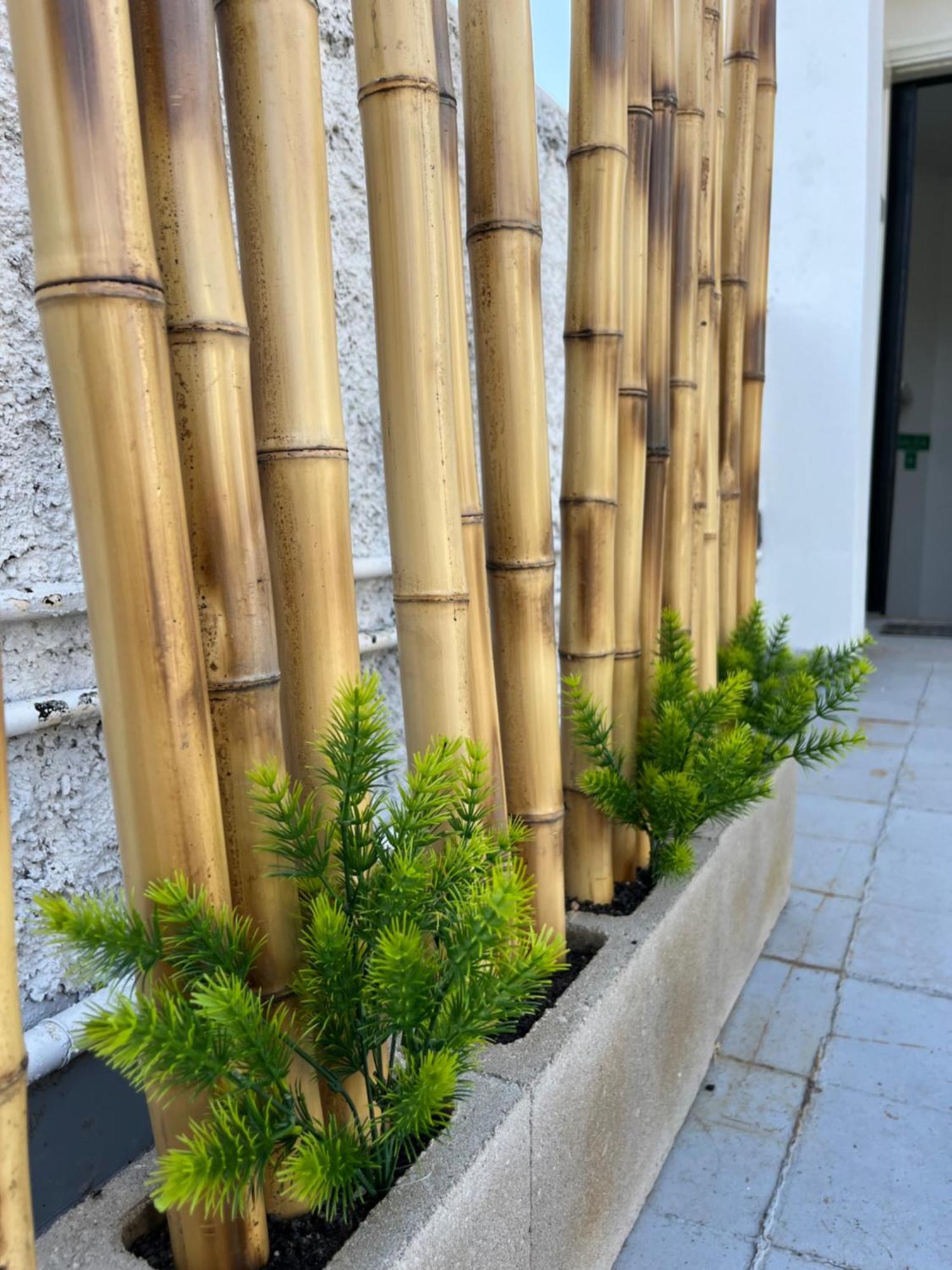 Terrazas De Rondeau Apartman Mendoza Kültér fotó